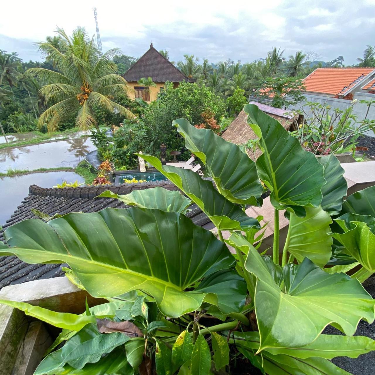 Dukuh Village Villas & Art Tegallalang  Pokoj fotografie